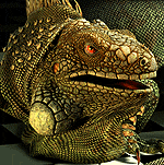 M.Mochizuki3