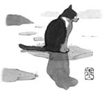 M.Nakashima3