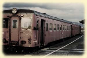 The train at Iwamnai station